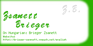 zsanett brieger business card